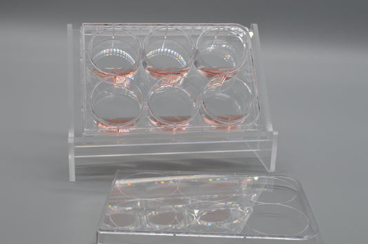 Tissue Culture Plate Angled Holder inclined and Ergonomic